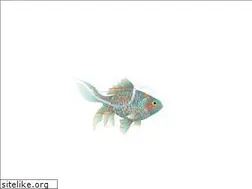 Sites similar to streetwise.ch