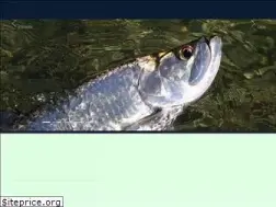 Sites similar to stripstrikecharters.com