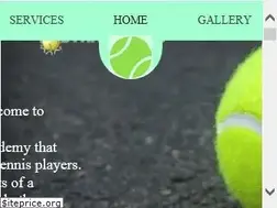Sites similar to strivetennis.com