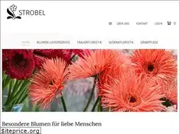 Sites similar to strobel-floristik.de