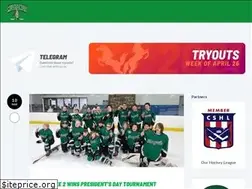 Sites similar to strongsvillehockey.com