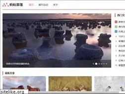 Sites similar to struggleant.com