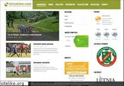 Sites similar to strumien.com