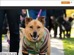 Sites similar to strutyourmutt.org