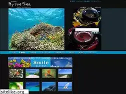 Sites similar to studio-bythesea.com