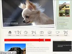 Sites similar to studio-dogrun.com