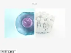 Sites similar to studio-mixture.fr
