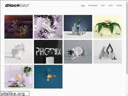 Sites similar to studioblackbird.co