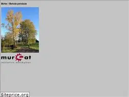 Sites similar to studiodan.weblog.mur.at