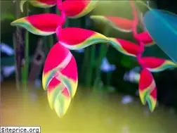 Sites similar to studioskp.com