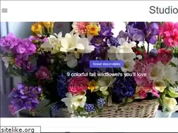 Sites similar to studiostems.com