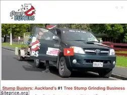 Sites similar to stumpbusters.co.nz
