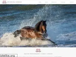 Sites similar to stunningsteeds.com