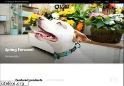 Sites similar to stuntpuppy.com