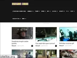 Sites similar to stupidgifs.com