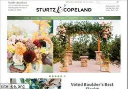 Sites similar to sturtzandcopeland.com