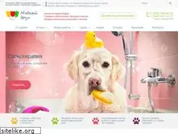 Sites similar to style-pet.ru