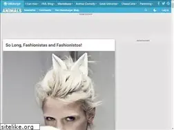 Sites similar to style.icanhascheezburger.com