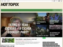Sites similar to suburbanforagers.com