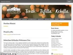 Sites similar to suburbanorthodox.org