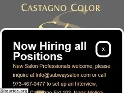 Sites similar to subwaysalon.com