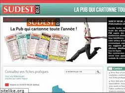 Sites similar to sudestregie.com