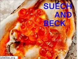 Sites similar to suechandbeck.com