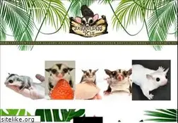 Sites similar to sugarglidersrus.com