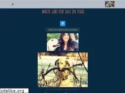 Sites similar to sugarlandlabs.com