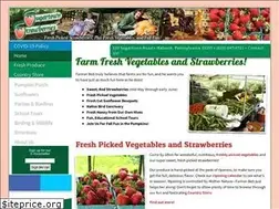Sites similar to sugartownstrawberries.com