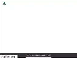 Sites similar to sugisakikiso.com