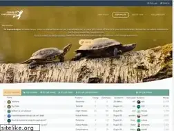 Sites similar to sukaplumbagasi.com