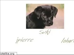 Sites similar to sukidog.com