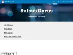 Sites similar to sulcusgyrus.com