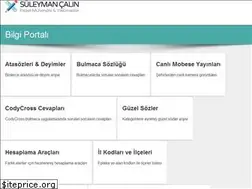 Sites similar to suleymancalin.com
