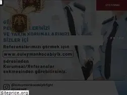 Sites similar to suleymankocabiyik.com