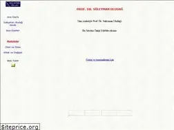 Sites similar to suleymanuludag.com