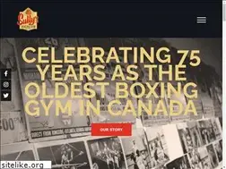 Sites similar to sullysboxinggym.com