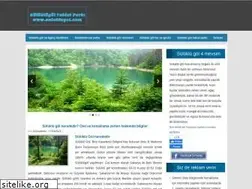 Sites similar to suluklugol.com