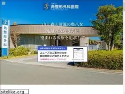 Sites similar to sumi-seikeigeka.com