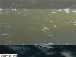 Sites similar to summertimesurf.com