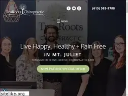 Sites similar to summitfamilychiropractictn.com