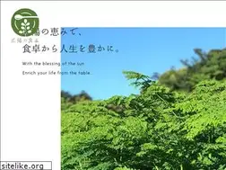 Sites similar to sun-moringa.com