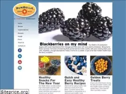 Sites similar to sunbelleberries.com
