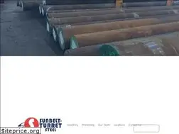 Sites similar to sunbeltturretsteel.com