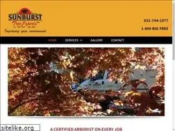 Sites similar to sunbursttree.com