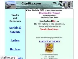 Sites similar to sunderlandbiz.com
