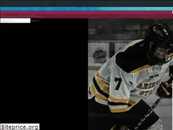 Sites similar to sundevilclubhockey.com
