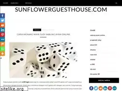 Sites similar to sunflowerguesthouse.com