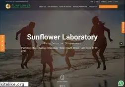 Sites similar to sunflowerlab.net